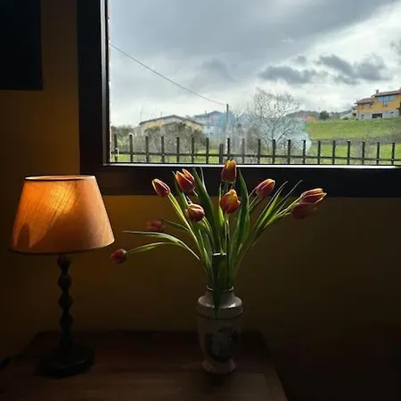 Asturias El Cobayin Zona Picos Europa Tatil Evi *